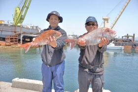 魚英