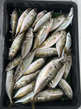 釣り船 松兵衛