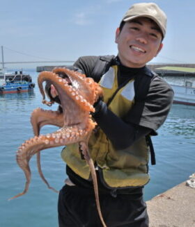 魚英