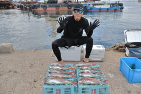 魚英