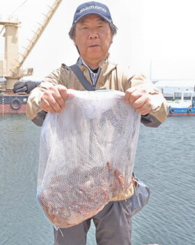 魚英