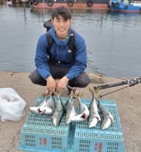 魚英