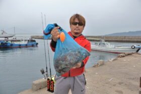 魚英