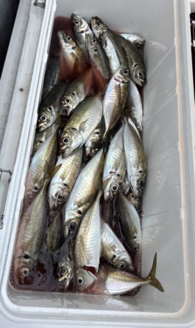 釣り船 松兵衛
