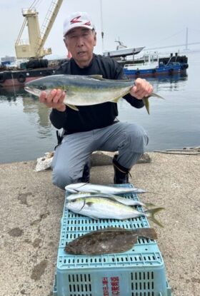 魚英