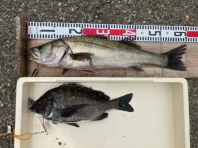 西野渡船