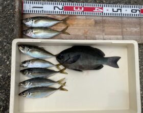 西野渡船