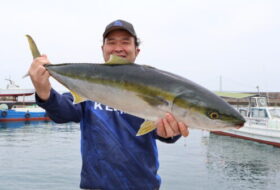 魚英
