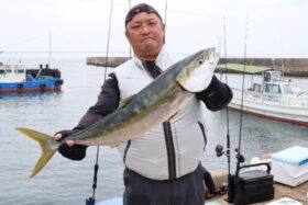 魚英