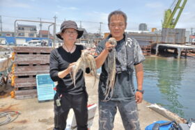 魚英
