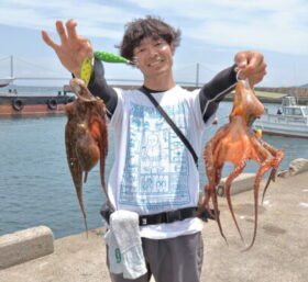 魚英