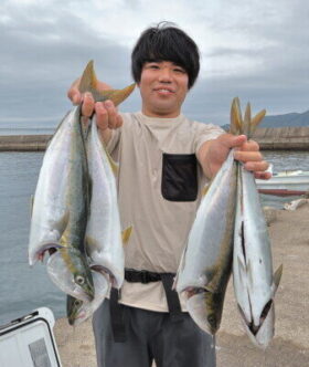 魚英
