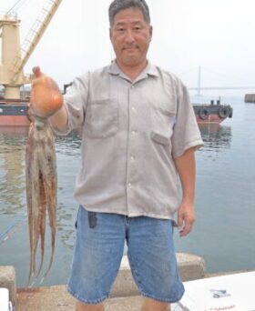 魚英