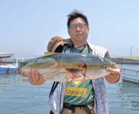魚英