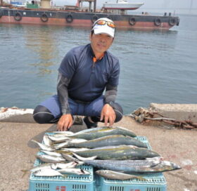 魚英