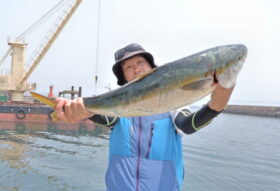 魚英
