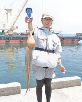 魚英
