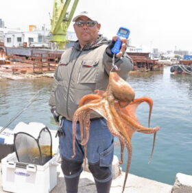 魚英