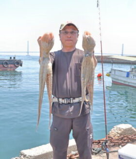 魚英