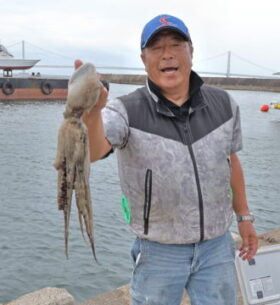 魚英