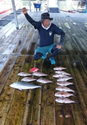 あなたに逢い鯛。釣り堀
