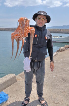 魚英