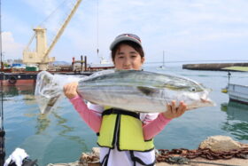 魚英
