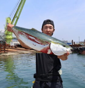 魚英