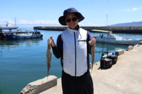 魚英