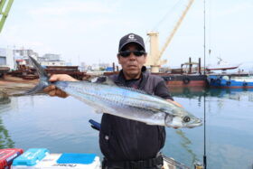 魚英