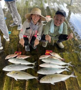 あなたに逢い鯛。釣り堀