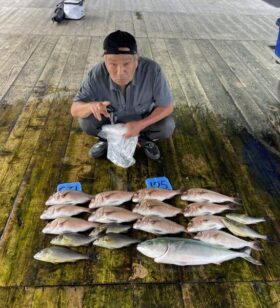 あなたに逢い鯛。釣り堀