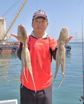 魚英