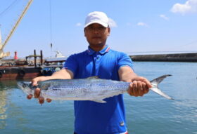 魚英