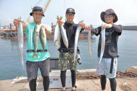 魚英