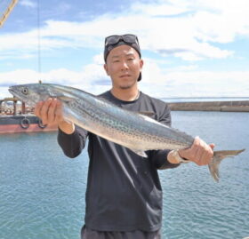 魚英