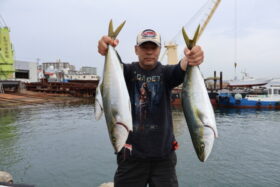 魚英