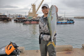 魚英