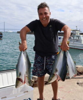 魚英