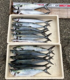 西野渡船