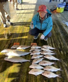 あなたに逢い鯛。釣り堀